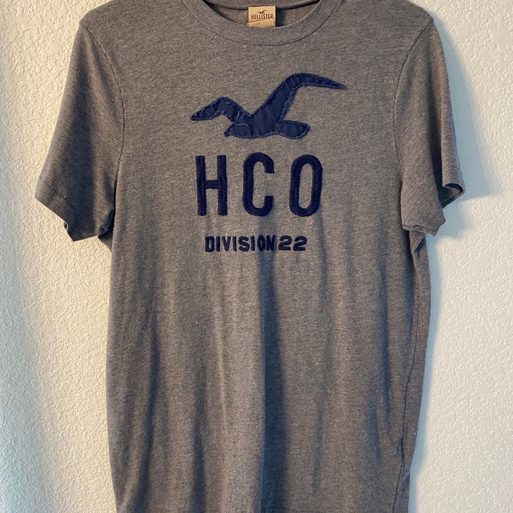 Hollister T Shirt